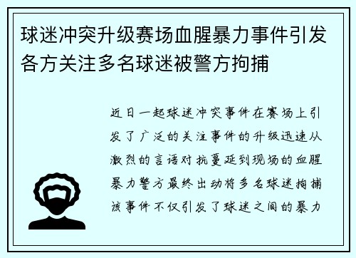 球迷冲突升级赛场血腥暴力事件引发各方关注多名球迷被警方拘捕