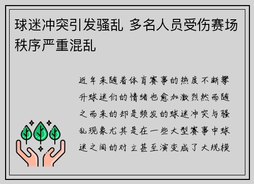 球迷冲突引发骚乱 多名人员受伤赛场秩序严重混乱
