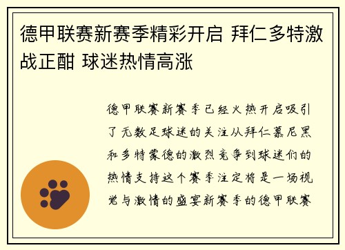 德甲联赛新赛季精彩开启 拜仁多特激战正酣 球迷热情高涨