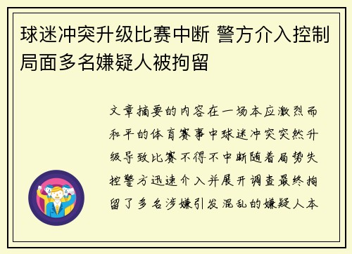 球迷冲突升级比赛中断 警方介入控制局面多名嫌疑人被拘留