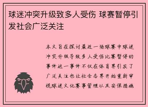 球迷冲突升级致多人受伤 球赛暂停引发社会广泛关注