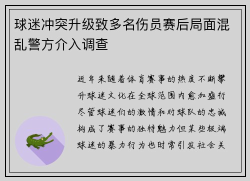 球迷冲突升级致多名伤员赛后局面混乱警方介入调查